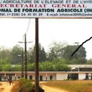 INFA de Tové : Appel à candidatures pour une formation internationale, Année académique 2026–2027